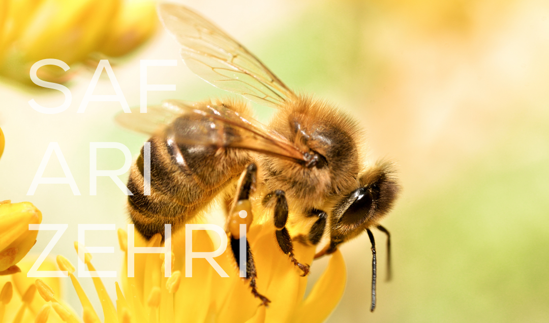 Arı Zehri Serumu ve Doğal Güzellik: Bu 5 Nedenle Hemen Kullanmalısınız!