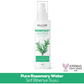 Pure Rosemary Water Saf Biberiye Suyu