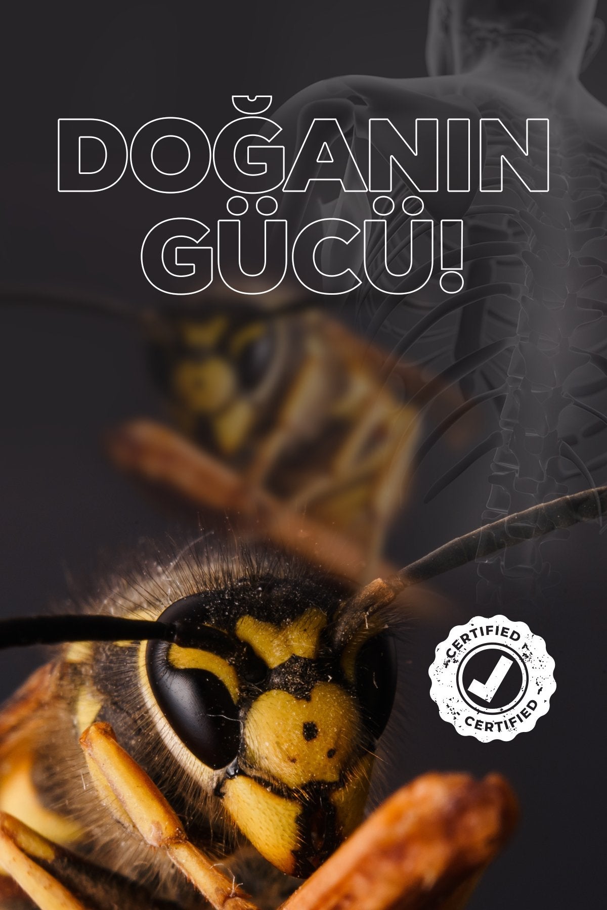 Bee Venom Krem - Mila Care