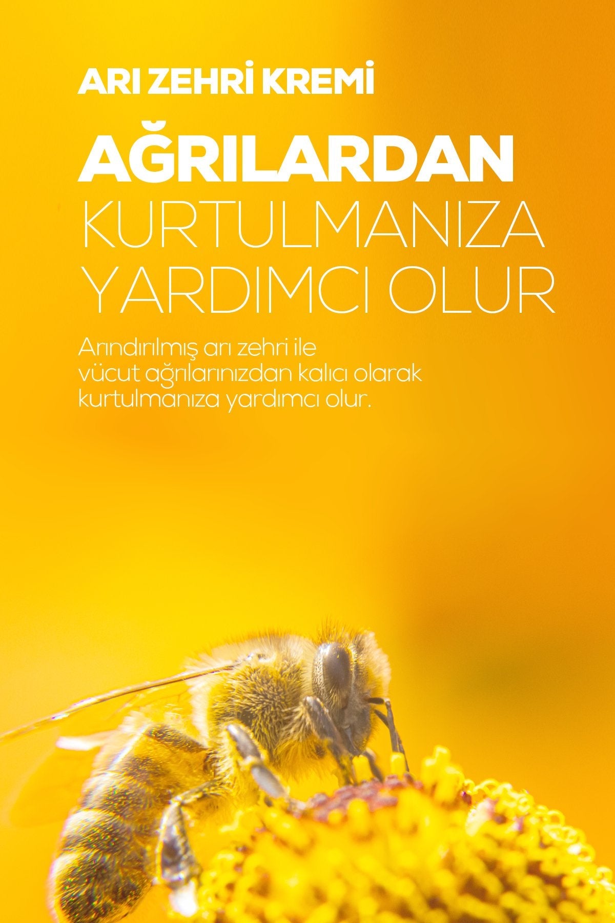 Bee Venom Krem - Mila Care
